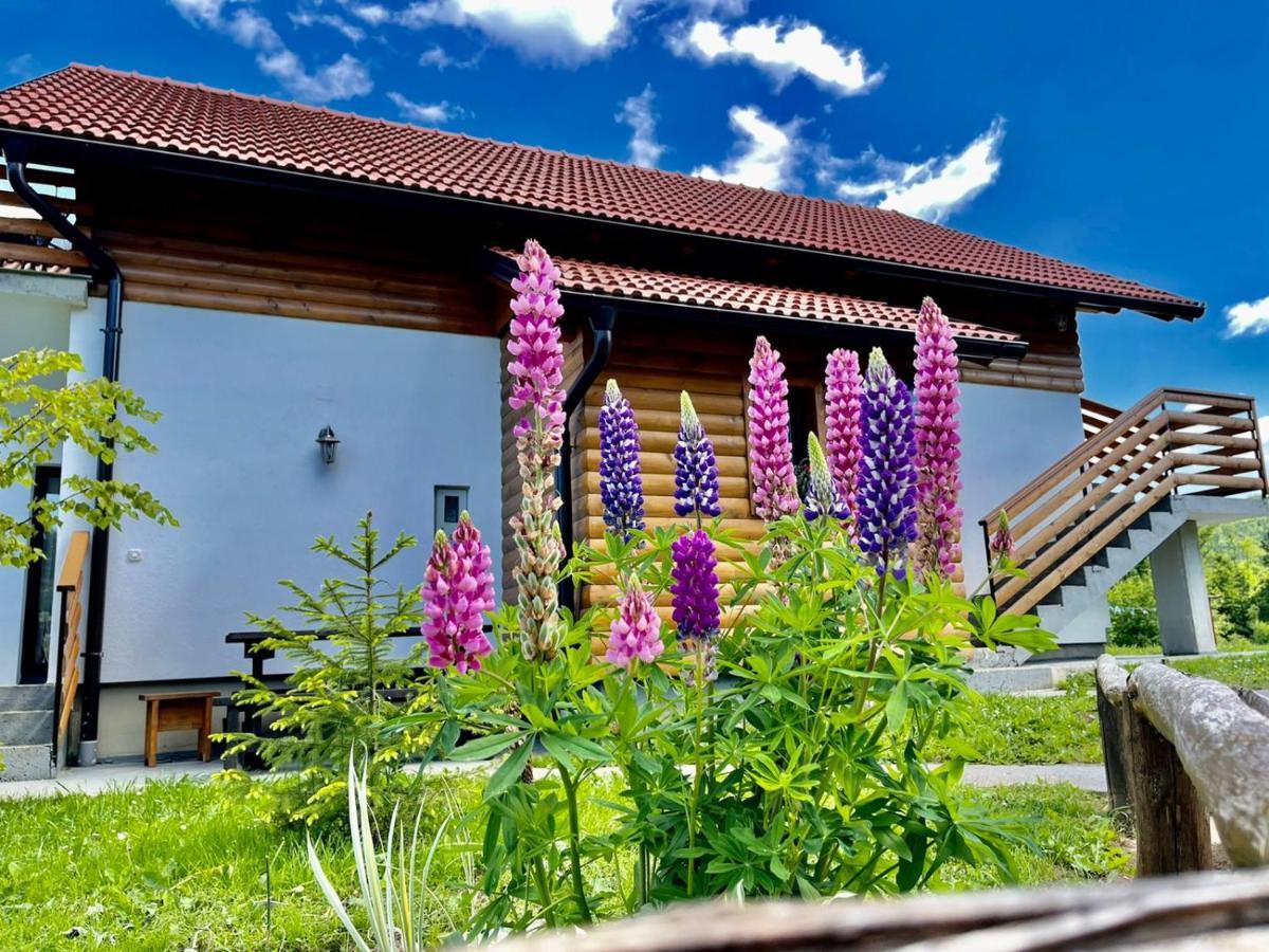 Studio Apartmani Patricia Smoljanac Exterior photo